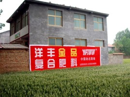 荔波如何让墙体广告展现最大化效果