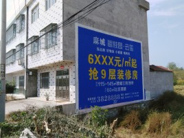 荔波墙体广告质量分析