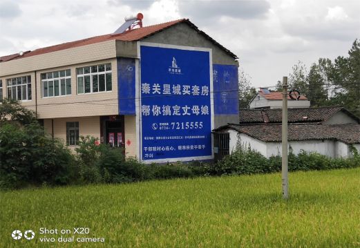 荔波决定墙体广告价格的因素有哪些？