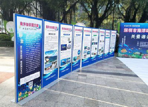 荔波KT板的种类和知识。